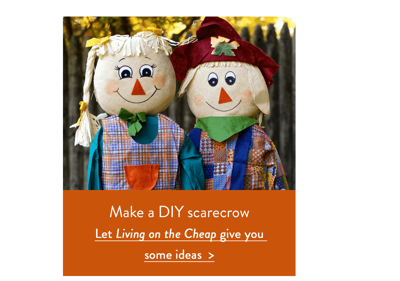 Make a DIY scarecrow