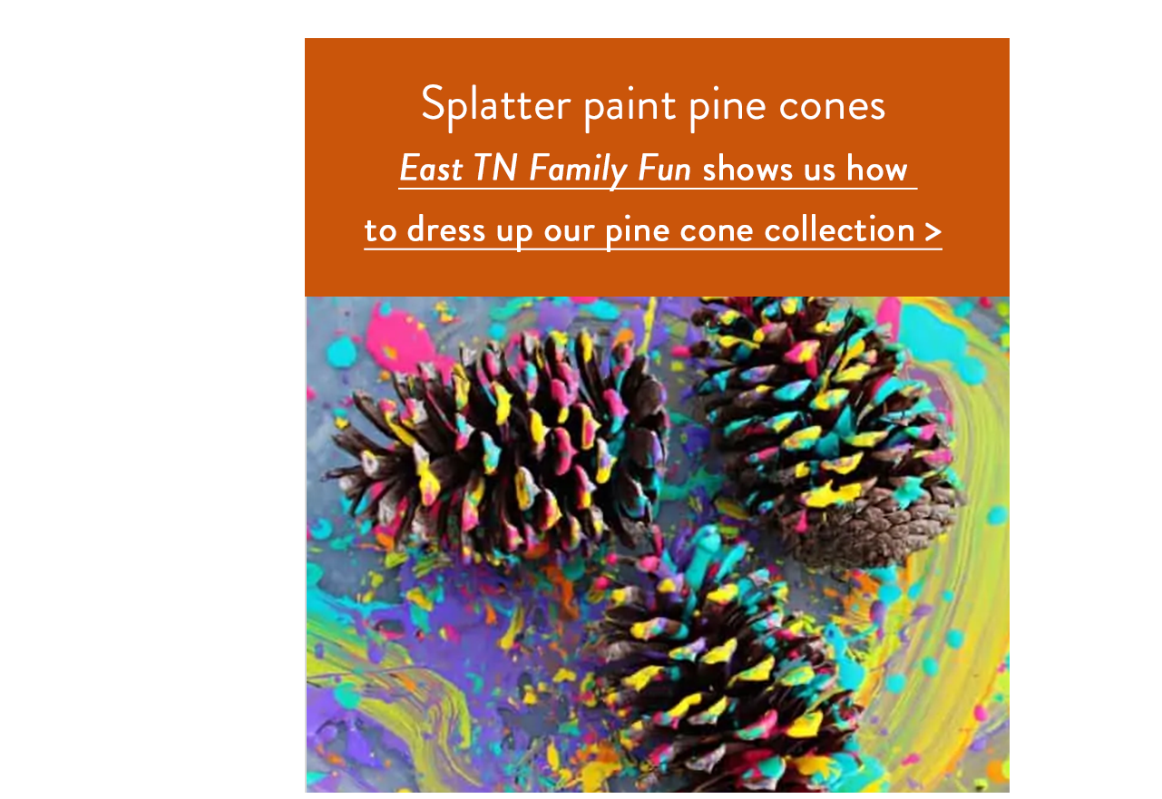 Splatter paint pine cones