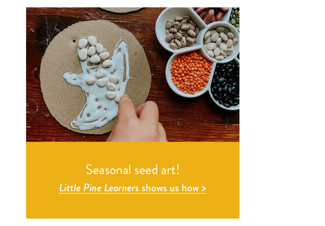Seasonal seed art!