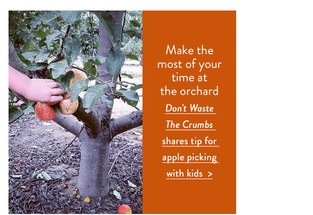 Make the most of your time at the orchard