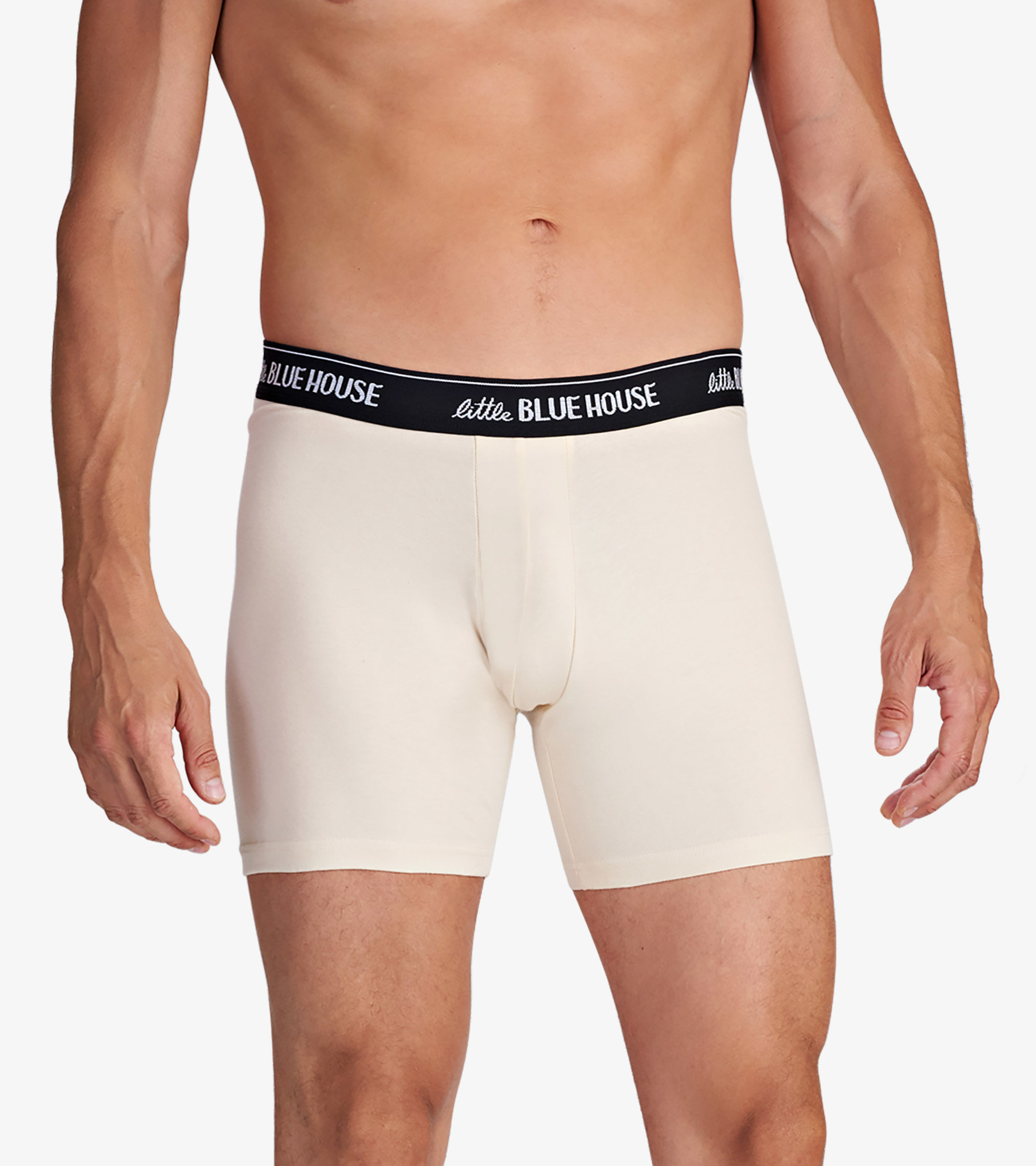 Bluey Underwearboys Cotton Briefs 12-pack - Bear Design, Breathable  Underwear M-xl