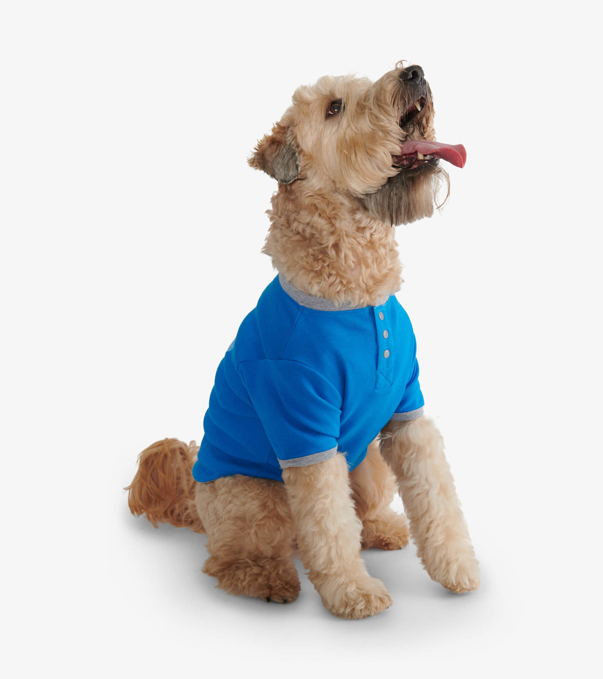 Agrandir l'image de T-shirt pour chien – Empreinte « Big Mutts »