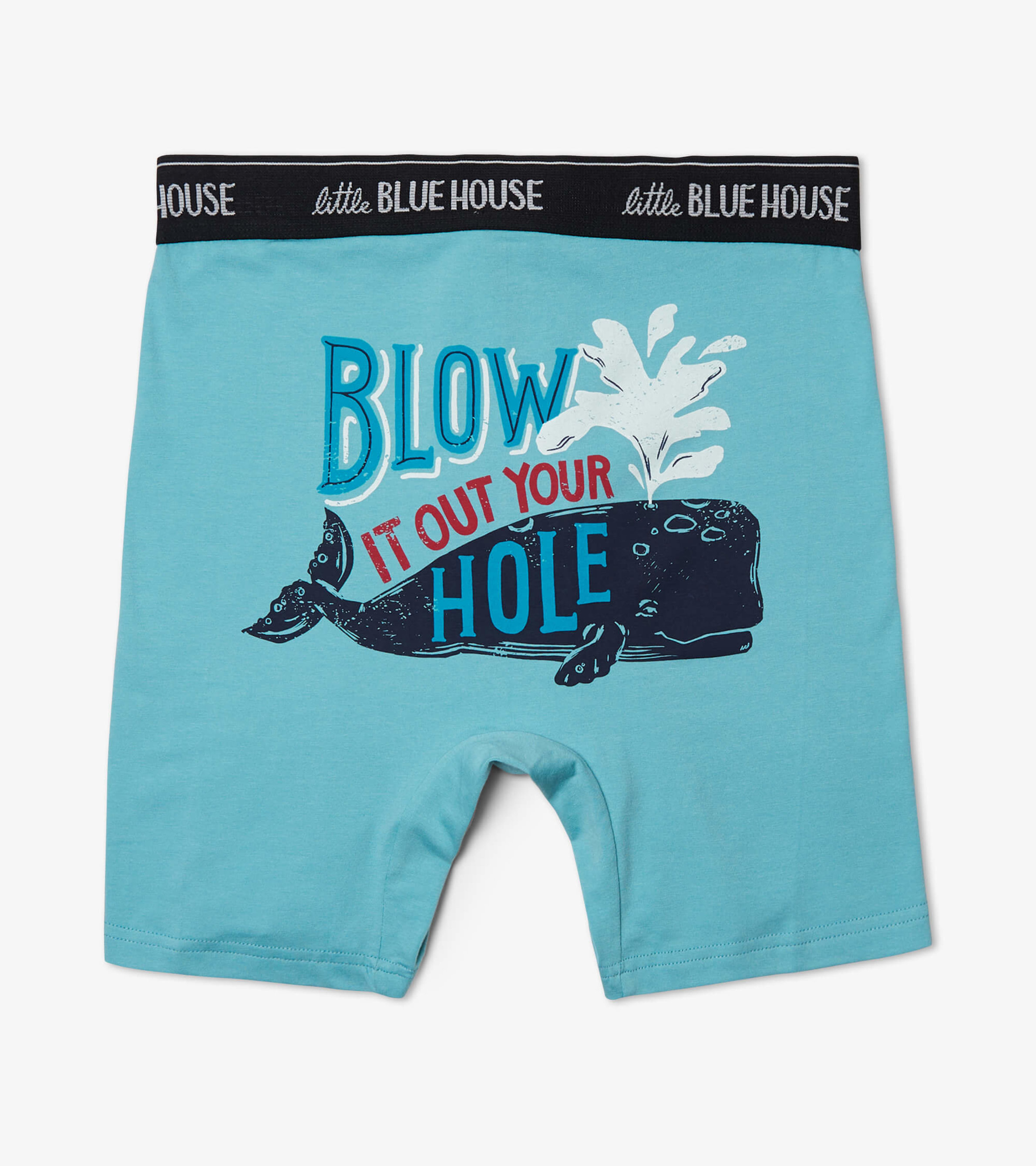 Blow It Out Your Hole Men's Boxer Briefs - Little Blue House US