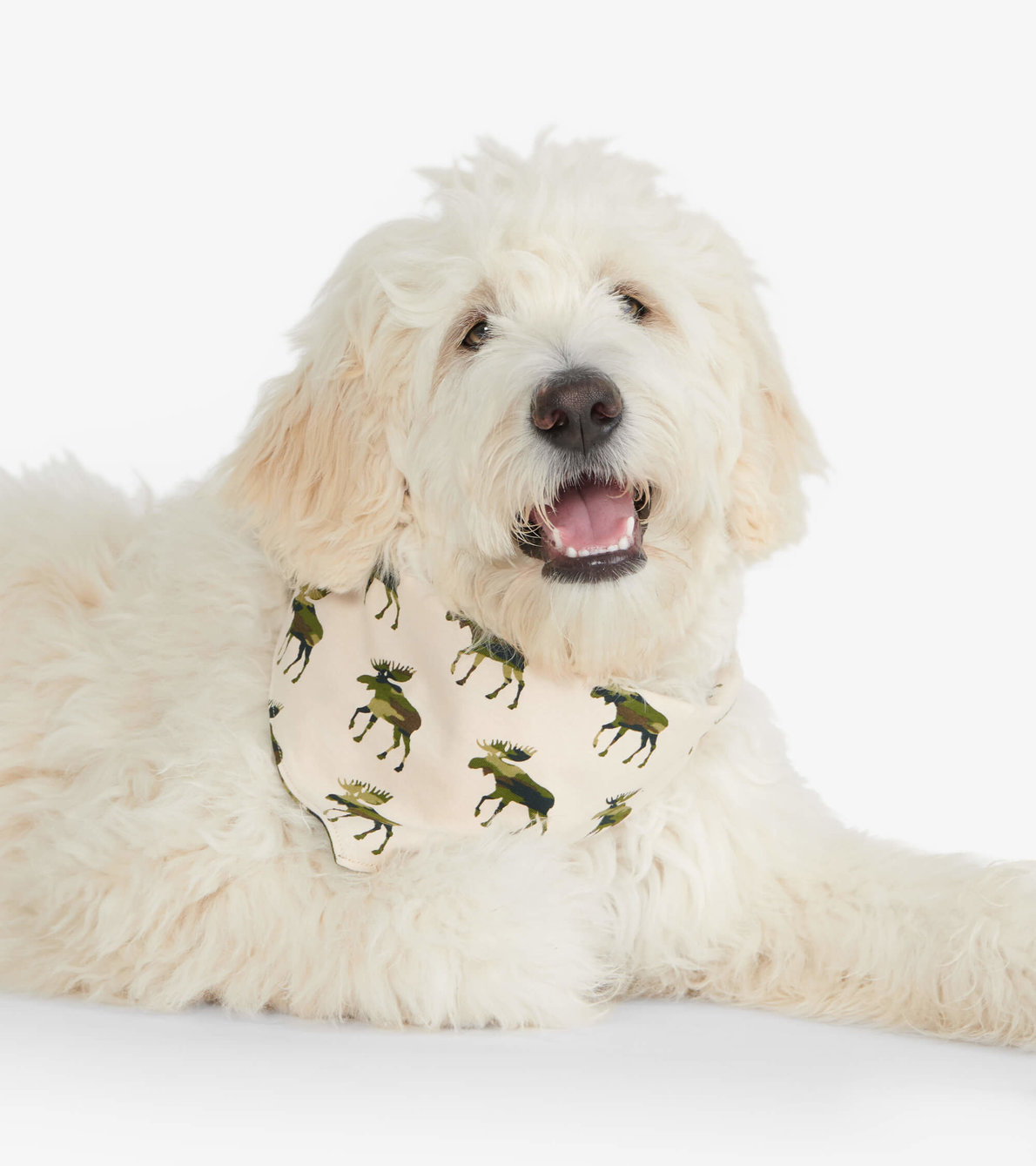 View larger image of Camooseflage Reversible Dog Bandana