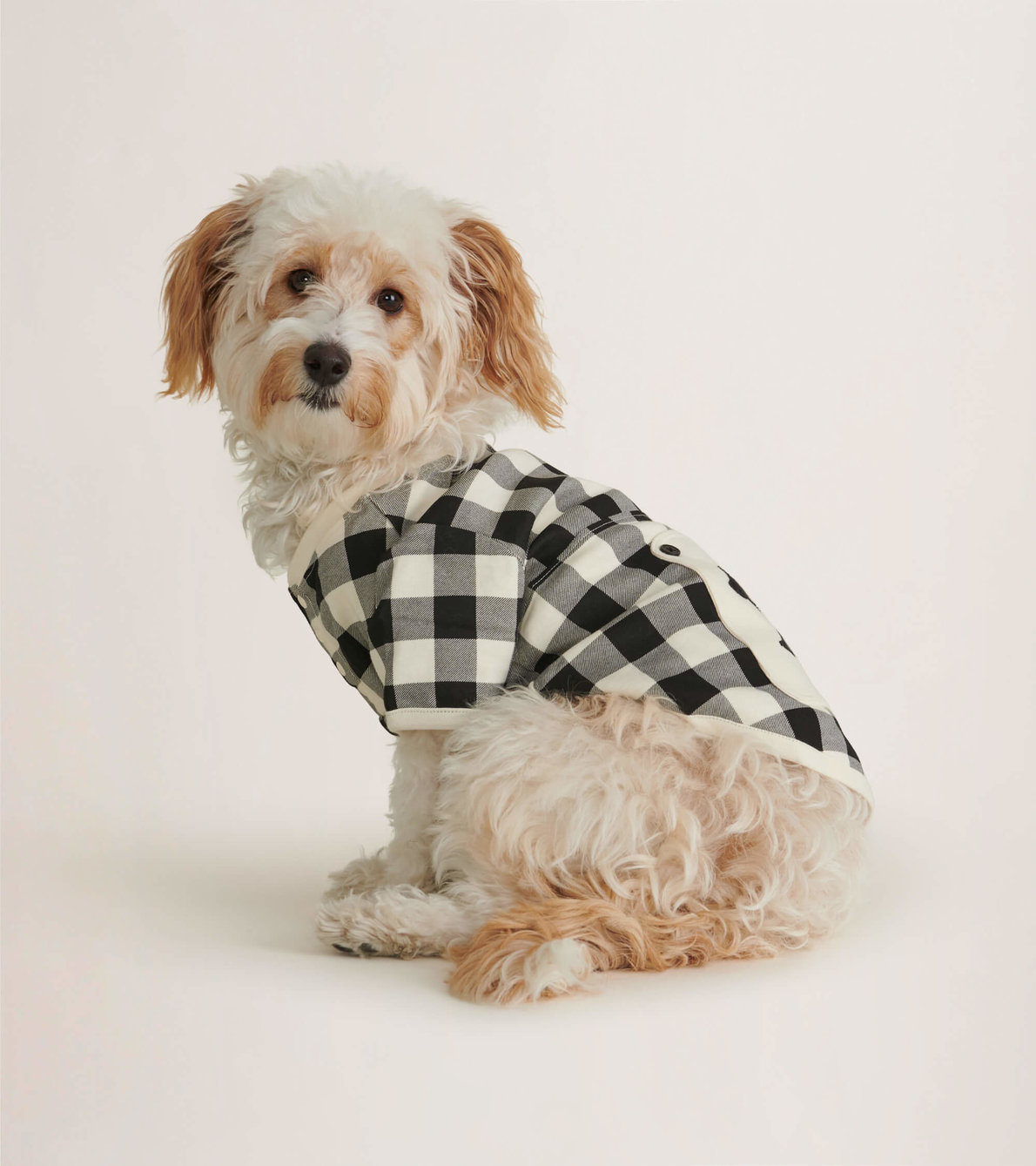 Agrandir l'image de T-Shirt pour chien – Tartan crème et noir