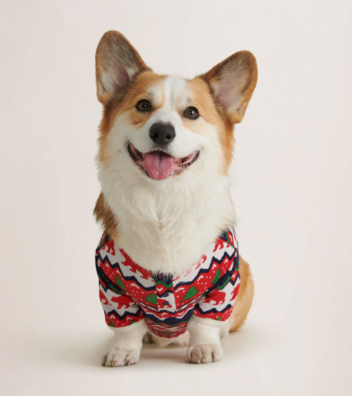 Agrandir l'image de T-shirt pour chien – Ours sur motif Fair Isle