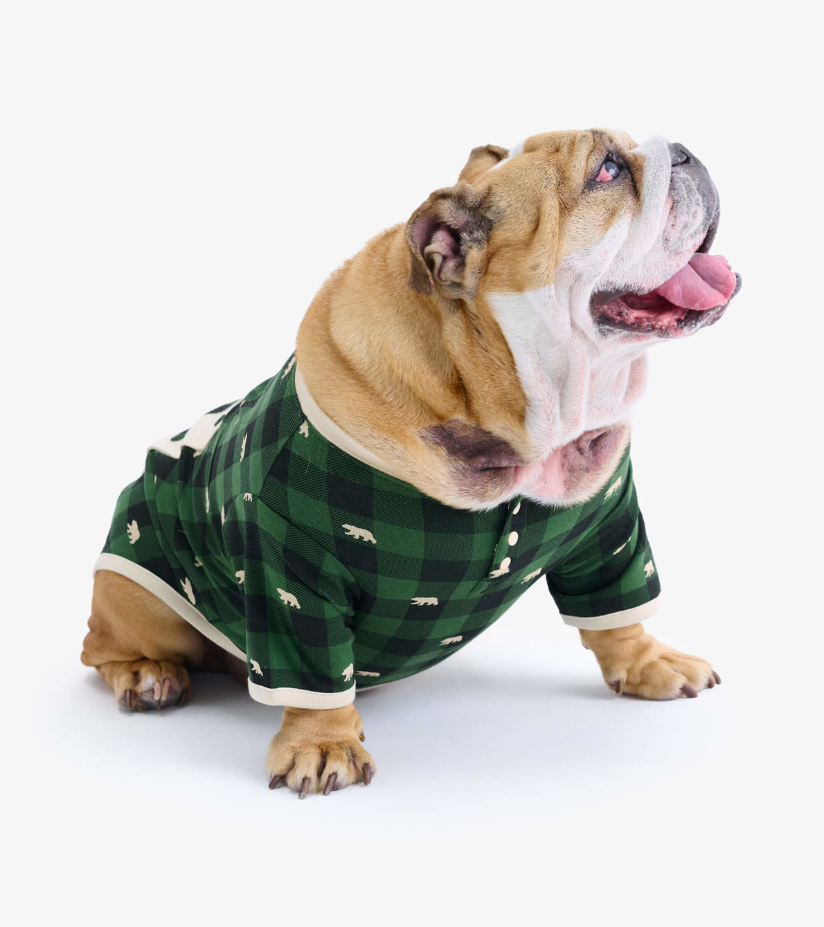 Agrandir l'image de T-shirt pour chien – Tartan vert forêt