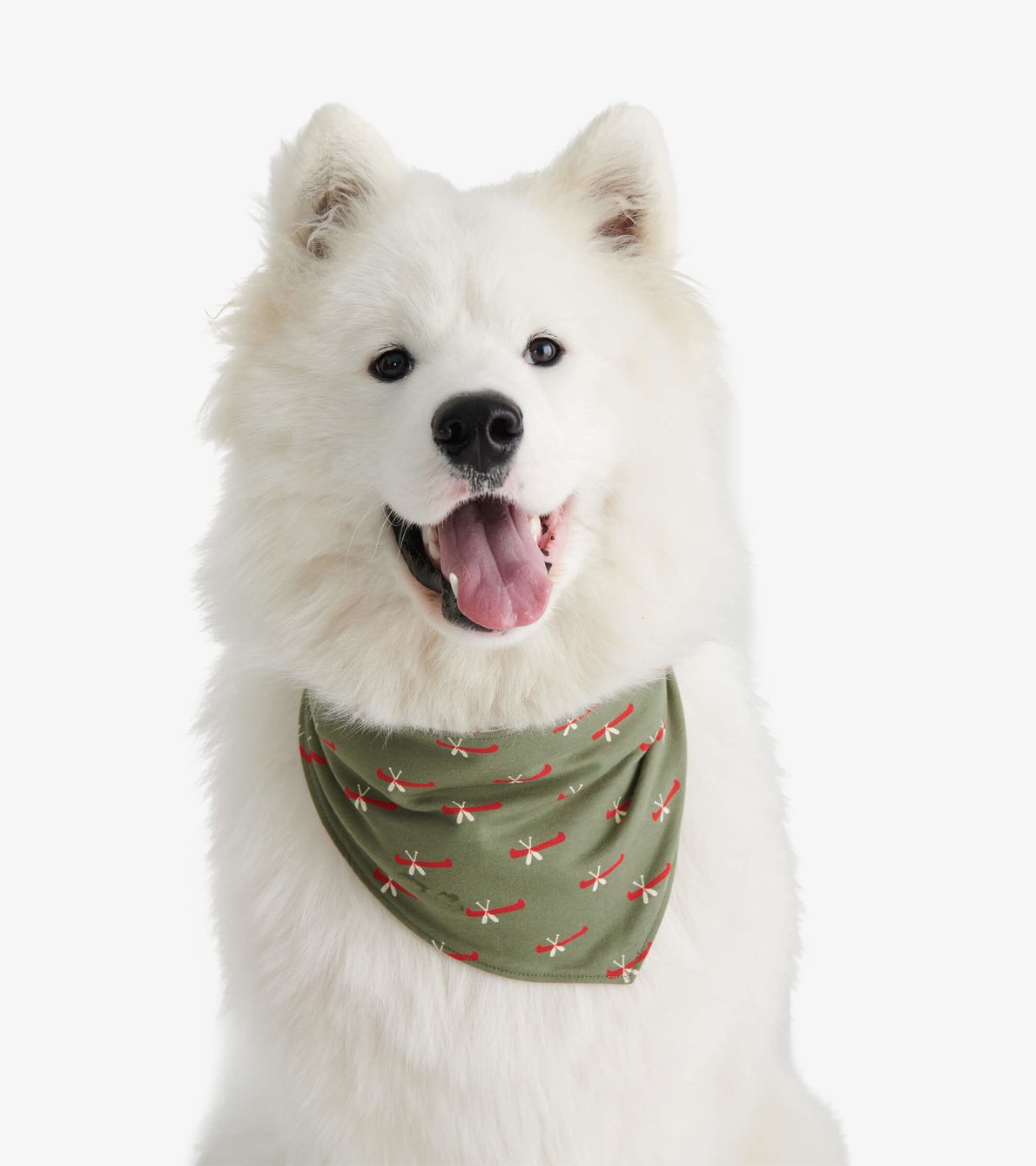 View larger image of Happy Camper Reversible Dog Bandana