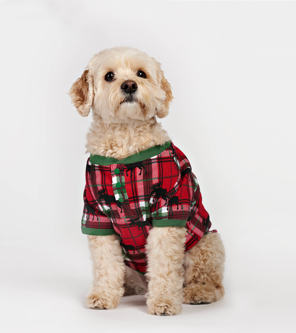 View larger image of Holiday Moose on Plaid Dog Tee
