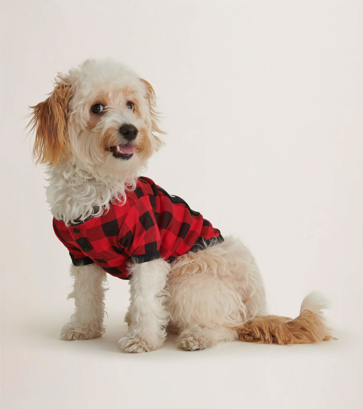 Agrandir l'image de T-Shirt pour chien – Orignal sur tartan rouge et noir