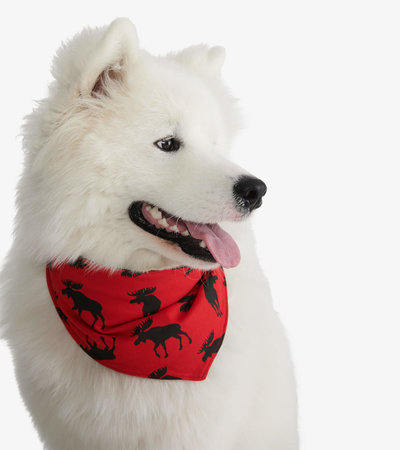 Bandana réversible pour chien – Orignaux sur fond rouge