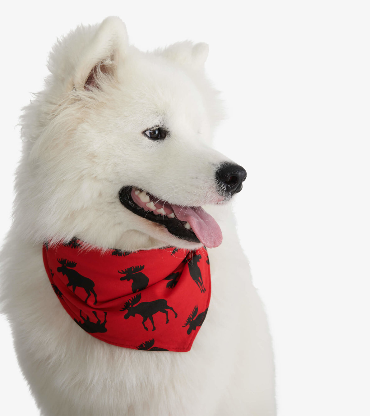 Agrandir l'image de Bandana réversible pour chien – Orignaux sur fond rouge