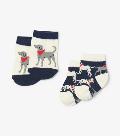 Chaussettes pour bébé (deux paires) – Labradors à bandana (bleu marine)