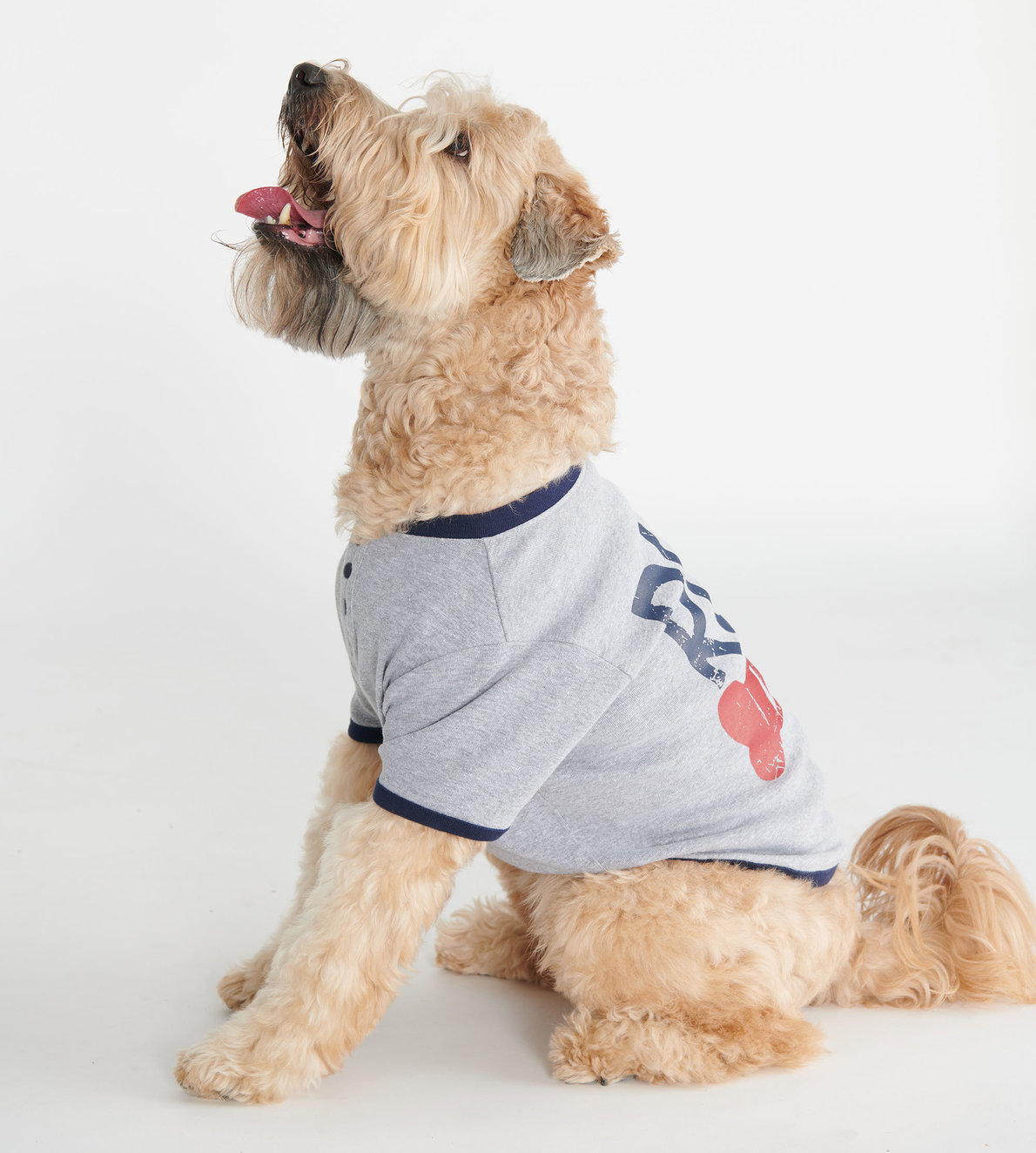 Agrandir l'image de T-shirt pour chien – Os « Ruff Life »