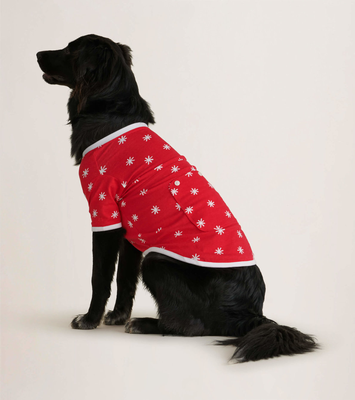 Agrandir l'image de T-Shirt pour chien – Flocons de neige